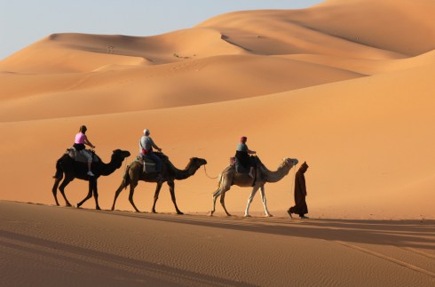 camel-caravan_shutterstock_73998700