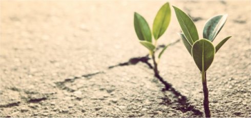 C/O http://blog.aim.com.au/importance-self-efficacy-developing-resilient-leaders/